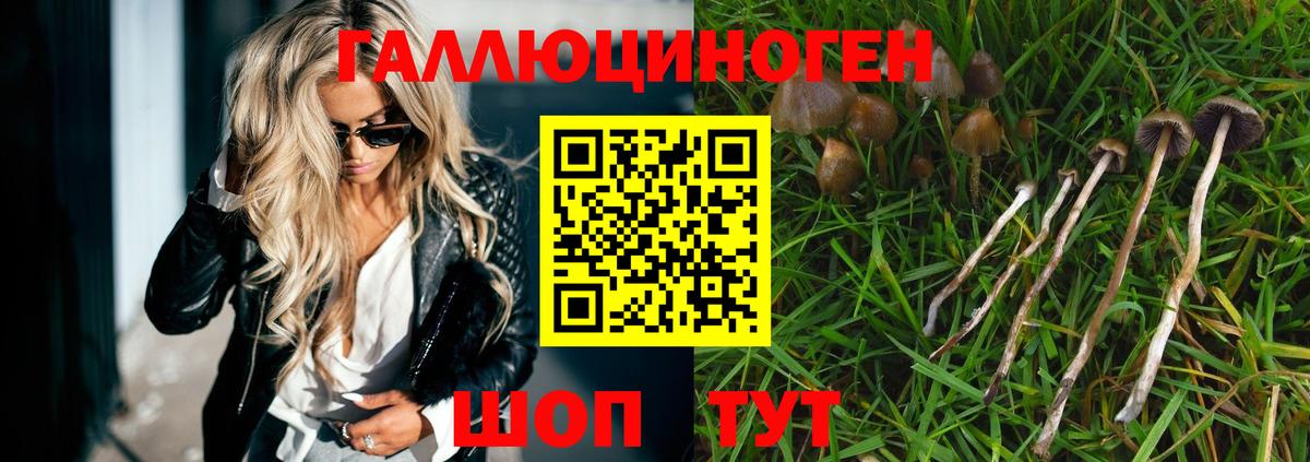 Галлюциногенные грибы Psilocybine cubensis  Псилоцибиновые грибы Psilocybe  Усолье-Сибирское 