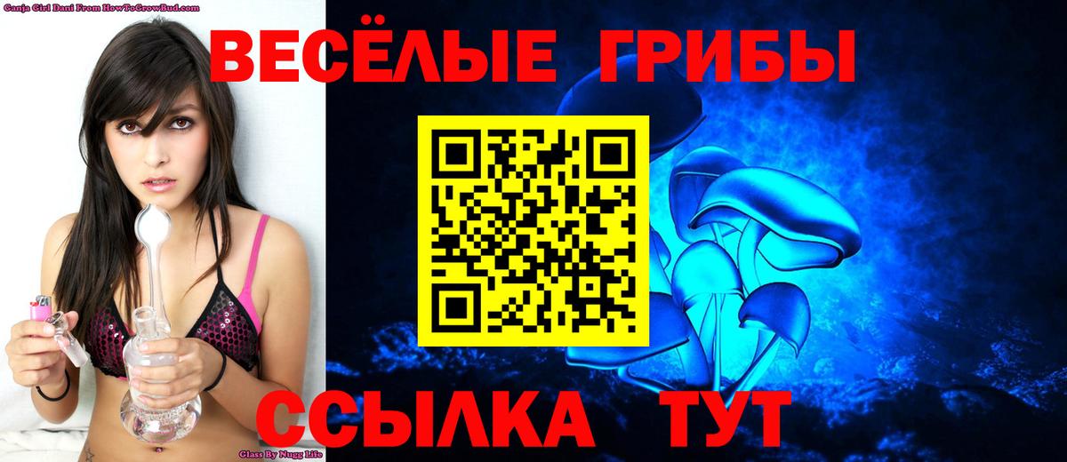 Галлюциногенные грибы Psilocybe Усолье-Сибирское